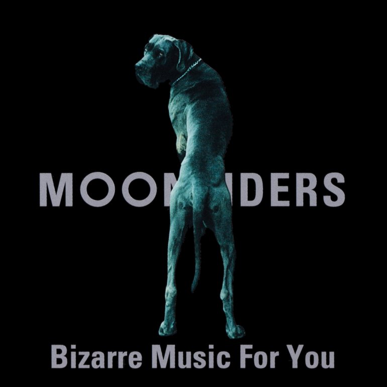 Bizarre Music for You